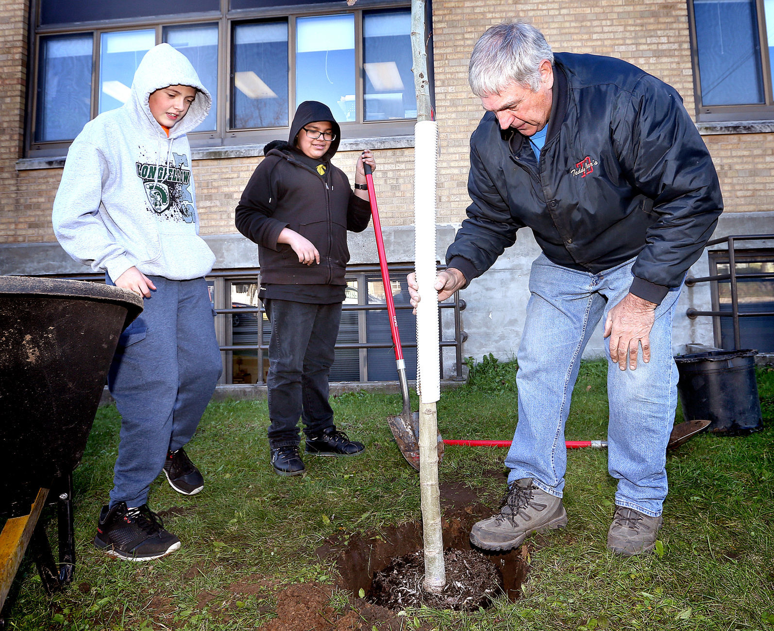 Longfellow Tree Walk